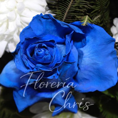 FLORERÍA Y FLORISTERÍA CHRIS